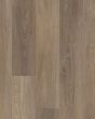 Distinction Plus Ash Oak Luxury Vinyl