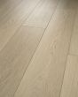 Distinction Plus Timeless Oak Luxury Vinyl