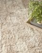 Dreamy Shag DRS01 Ivory Beige Area Rug