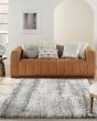 Dreamy Shag DRS01 Ivory/Charcoal Area Rug