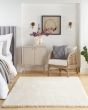 Dreamy Shag DRS05 Ivory Area Rug