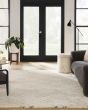 Dreamy Shag DRS07 Ivory Area Rug