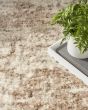 Dreamy Shag DRS10 Ivory Dark Beige Area Rug