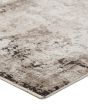 Denizi DZ2 Putty Area Rug