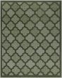 Easy Care NES01 Green Area Rug