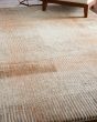 Eden 39QPF Ivory/Taupe/Pink Area Rug