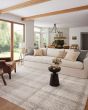 Ember EMB-04 Ivory/Multi Area Rug