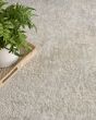 Envy EVV01 Ivory Grey Area Rug
