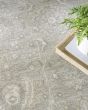 Envy EVV02 Grey Area Rug