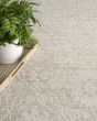 Envy EVV05 Cream Area Rug