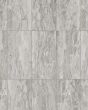 Evolution Silver Marble Porcelain Tile