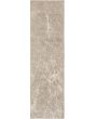 Exhale EXL02 Mocha Ivory Area Rug