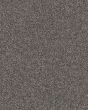 Expertise Sentimental 48.7oz Textured Carpet