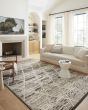 Fabian FAB-03 Charcoal/Ivory Area Rug