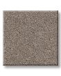 Flawless Beauty II Textured Pet Friendly Carpet