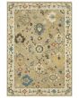 Francesca fr04e Beige/Multi Area Rug