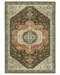 Francesca fr09m Brown/Multi Area Rug
