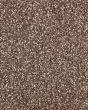 Subtle Tones Textured SmartStrand 57oz Carpet