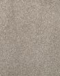 Subtle Tones Textured SmartStrand 57oz Carpet
