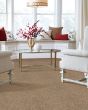 Stylish Grace Textured 55oz SmartStrand Carpet
