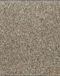 Industrial Tones SmartStrand Forever Clean Ultra Carpet