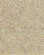 Berber Vogue II 100% Wool 30oz Loop Carpet