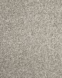 Detailed Statement Textured SmartStrand Carpet