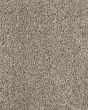 Detailed Statement Textured SmartStrand Carpet