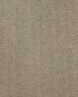 Carramar II 100% Wool Textured 46oz Carpet