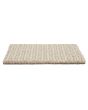 Enduring Statement SmartStrand 36oz Carpet