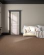 Opulent Tradition Textured Nylon 65oz Carpet