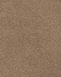 Opulent Tradition Textured Nylon 65oz Carpet