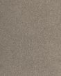 Luxurious Hues Textured SmartStrand 55oz Carpet