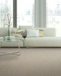 True North Patterned Nylon Blend Carpet