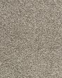 Candor SmartStrand Textured 43oz Carpet