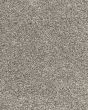Candor SmartStrand Textured 43oz Carpet