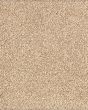 Gentle Quality Parchment Carpet