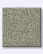Glamorous Portrait 50oz Anso Nylon Patterned Carpet