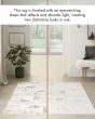 Glitz GLZ04 Ivory/Multi Area Rug