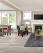 Cali Select Premium Gray Ash Vinyl Plank
