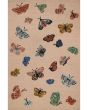 Highgrove HIG-01 Blush Area Rug