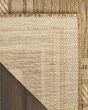 Horizon Indoor/Outdoor HOZ03 Natural Area Rug