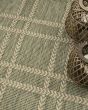 Horizon Indoor/Outdoor HOZ04 Green Area Rug