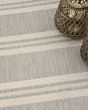 Horizon Indoor/Outdoor HOZ05 Grey Area Rug