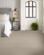 In Style Fossil Path Carpet