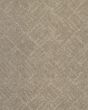 Inspired Glamour Hushed Neutral Carpet