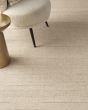 Interweave IWV01 Beige Area Rug