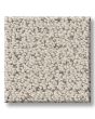 Intricate Trace Pet Friendly 43oz Carpet