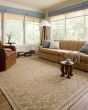 Judy JUD-07 Natural/Ivory Area Rug