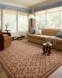 Judy JUD-07 Natural/Spice Area Rug